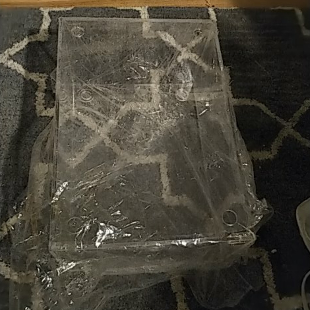 Acrylic shoe case